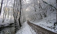 10 Ciclabile della Quisa, verso il primo prato